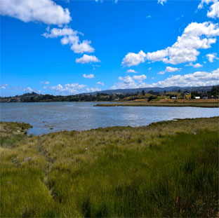 humedales